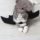 Déguisement pour chat Chauve-souris