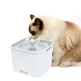 Fontaine a eau pour chat avec fleur
