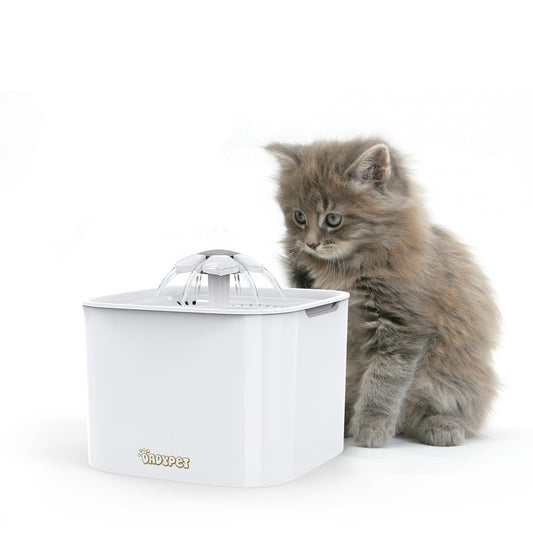 Fontaine a eau pour chat avec fleur