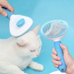 Brosse pour chat nettoyage des poils