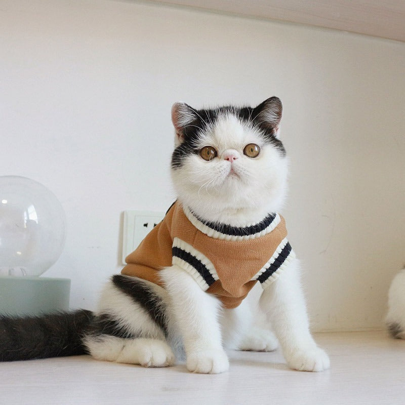 Manteau pour chat college