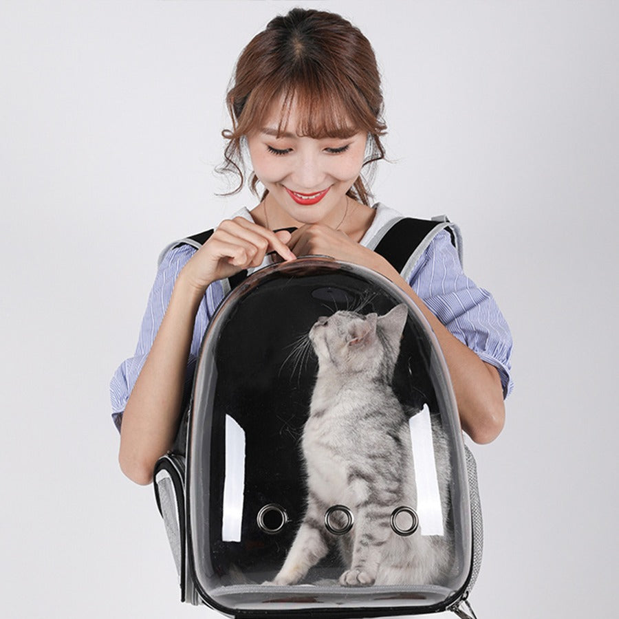 Sac à dos de transport pour chat hublot