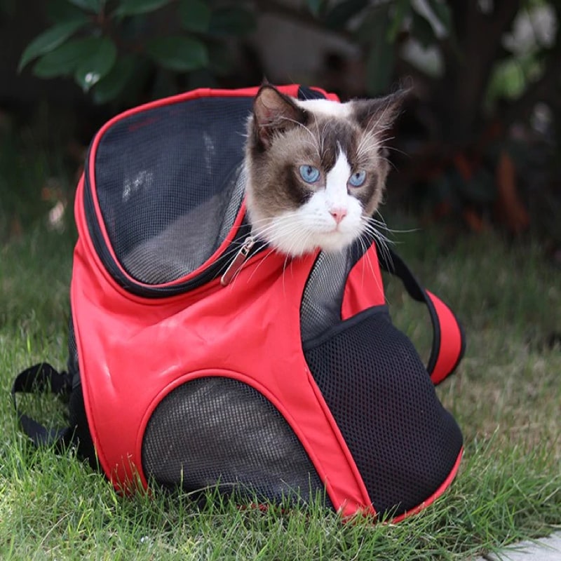 sac-a-dos-pour-chat-pratique