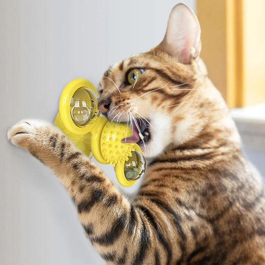 SpinCat™ Meilleur Jouet Interactif Pour Chat et Chaton